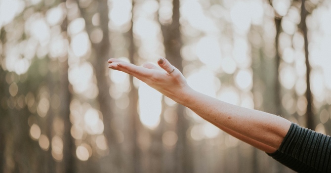 Online - Family Psychotherapy