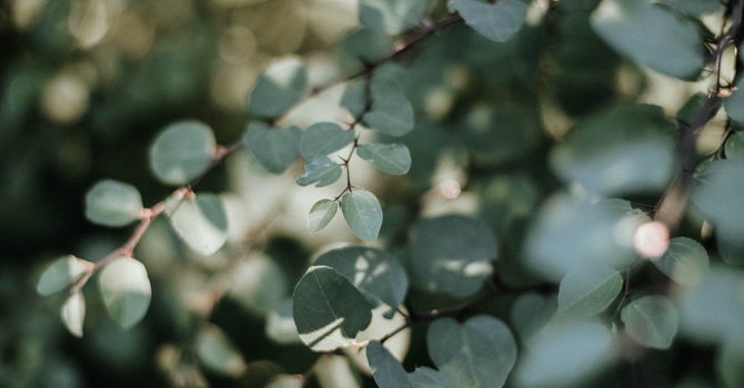 How Relationship Counselling Can Strengthen Your Connection and Build Lasting Love