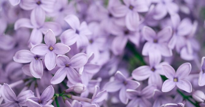 Understanding Online Therapy: Benefits and What to Expect image